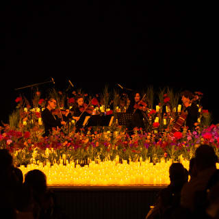 Candlelight Spring: O Melhor de Zeca Afonso 6