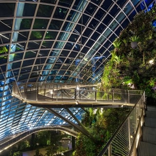 Flower Dome & Supertree Observatory 10