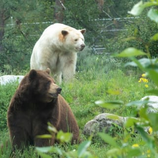 BC Wildlife Park Kamloops 10