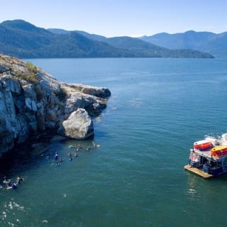Scuba Dive Boat Charter in Vancouver (Certified Divers Only!) 3
