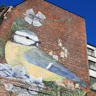 Street Art of Manchester Outdoor Exploration Game 3