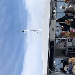Flippers Adventures Dolphin Cruise 4