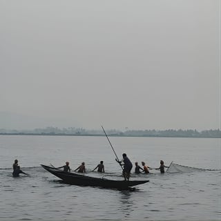 Walk the Kolkata Wetlands: Green Eye Candy 6