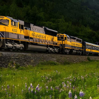 Alaska Railroad Anchorage to Seward Round-Trip Same Day Return 5