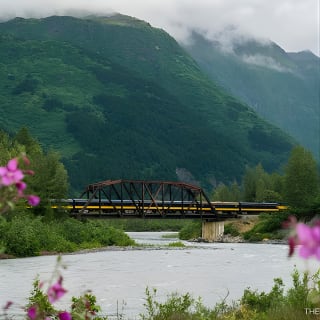 Bears, Trains & Icebergs Tour 10
