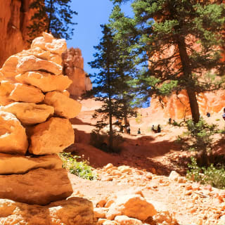 Bryce Canyon und Zion Nationalpark Tagesausflug von Las Vegas 5
