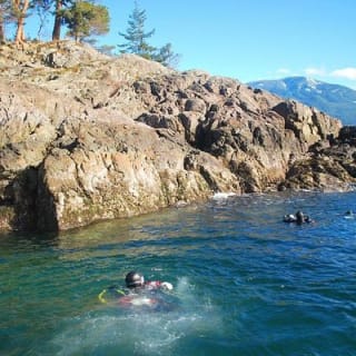 Scuba Dive Boat Charter in Vancouver (Certified Divers Only!) 7
