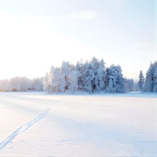 Winter Wonderland Hike in a National Park  11