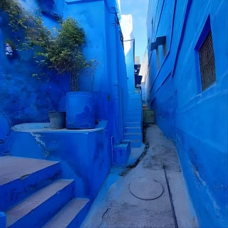 Tour Guide for Jodhpur  3
