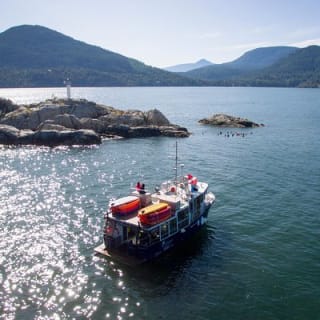 Scuba Dive Boat Charter in Vancouver (Certified Divers Only!) 8