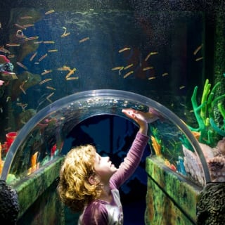 Sydney Multi Attraction Pass 12