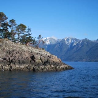 Scuba Dive Boat Charter in Vancouver (Certified Divers Only!) 9