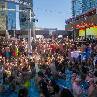 Private Party Bus Dayclub Crawl 6