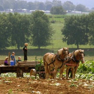 Paquete SuperSaver Amish Experience 4