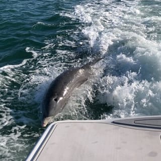 Parasailing Adventure in Anna Maria Island 4