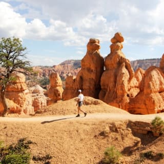 Von Las Vegas: Bryce Canyon & Zion Nationalparks Tageestreise mit Mittagessen 11
