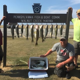 Lake Erie Walleye Fishing Charters 7
