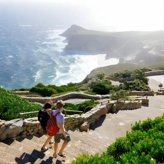 Cape Point and Boulder's Penguins Full Day Tour 1