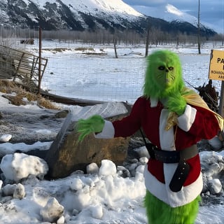 Ultimate Anchorage Winter Wildlife & Sunset Tour 6