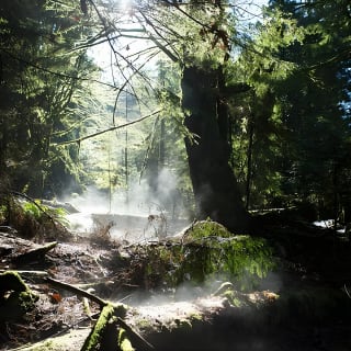 Recorrido a pie por los secretos de Stanley Park en Vancouver 3