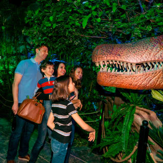 Dino Safari: Una aventura para recorrer caminando 3