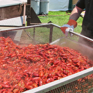Long Beach Crawfish Festival 5