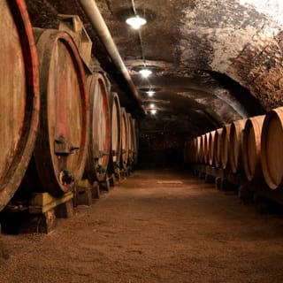 Dégustation de vins et fromages au Domaine Brisson 3