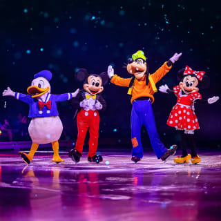 Disney on Ice: Festa em Família - São Paulo 6