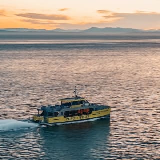 Excursión de medio día para avistar ballenas desde Vancouver 10