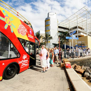 Bus turístico por Las Palmas de Gran Canaria 1