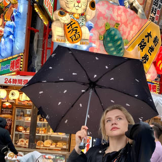 Osaka Highlights: 4-stündige geführte Spaziergangtour mit einem einheimischen Experten 8