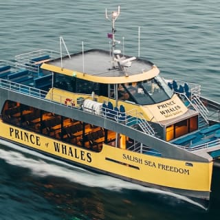 Excursión de medio día para avistar ballenas desde Vancouver 11