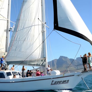 Cruise and Dine Dinner / Cape Town: Sunset Champagne Cruise and 3-Course Dinner 7