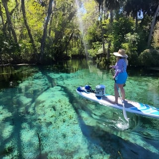 Clear Kayak or Paddleboard Manatee Adventure 10