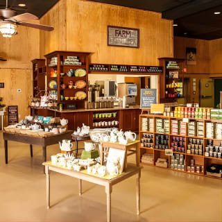 Wine Sippin', Tea Drinkin' & Tree Huggin' Tour: The Wadmalaw Adventure 3