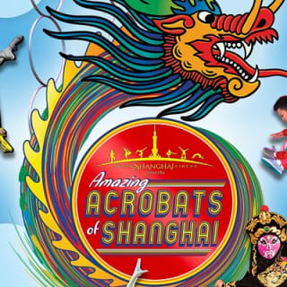 Amazing Acrobats: Grand Shanghai Circus Show in Branson 4