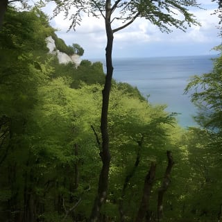Møns klint og Skovtårnet - En dagstur fra København 16