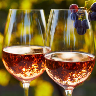 Pétanque & Wine 4