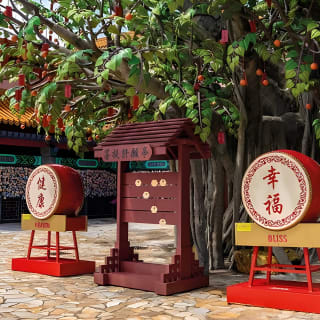 Best Seller: VIP Lantau Tai O Tour con fibbia per capelli 6