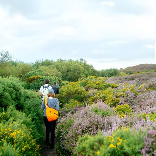 City Explorer: Paseo de un día en Howth 4