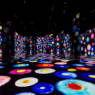 Port des Lumièrs Kombi-Ticket: Wunderwelt Ozean & Gustav Klimt 3