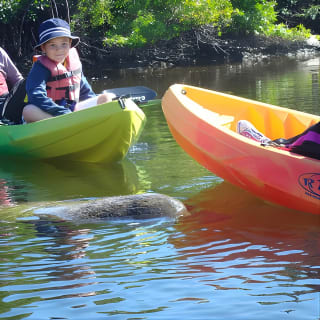 Tour guidato in kayak Eco - Bunche Beach 2