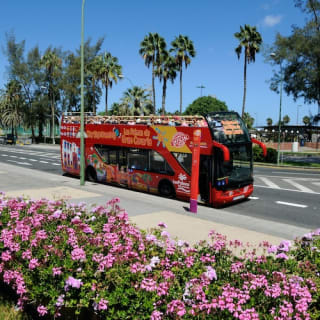 Bus turístico por Las Palmas de Gran Canaria 6