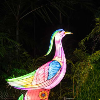 Luminosa 2026 — Miami, Reimagined in Light 8