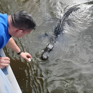 New Orleans Swamp Tour Boat Adventure 3