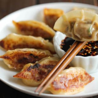 Handmade Dumplings in Tampa 3