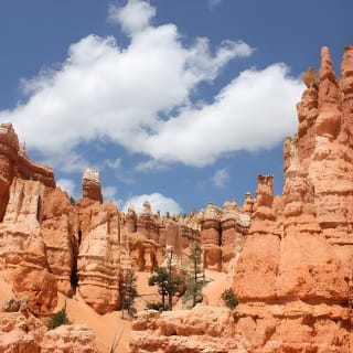 Bryce Canyon und Zion Nationalpark Tagesausflug von Las Vegas 6