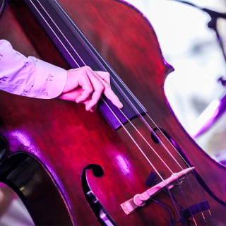 Nash Sessions in den Royal Botanic Gardens, Kew – Jazz Cats Quartett 2