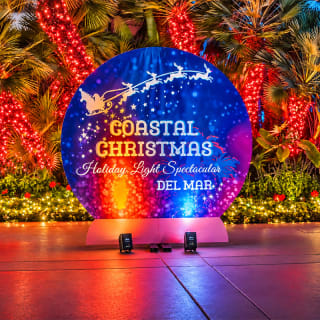 Coastal Christmas Wine Walk: Holiday Lights & Wine Tasting 9