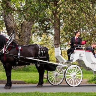 Tour in carrozza trainata da cavalli al Beacon Hill Park 1
